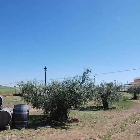 Casa Rural Teso De La Encina Villamor de los Escuderos ภายนอก รูปภาพ