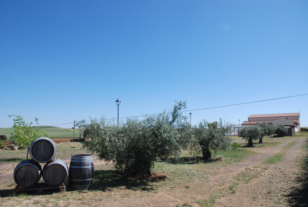 Casa Rural Teso De La Encina Villamor de los Escuderos ภายนอก รูปภาพ