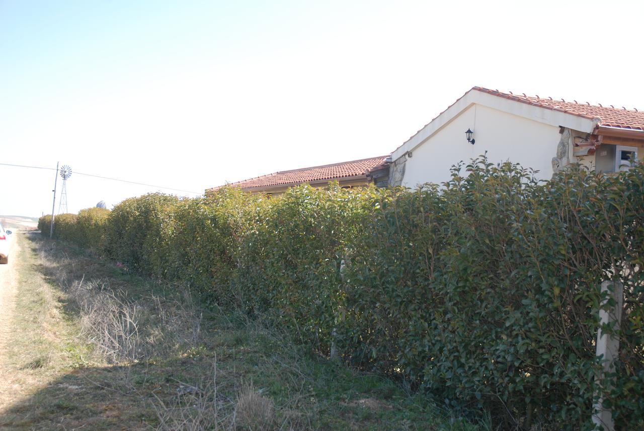 Casa Rural Teso De La Encina Villamor de los Escuderos ภายนอก รูปภาพ