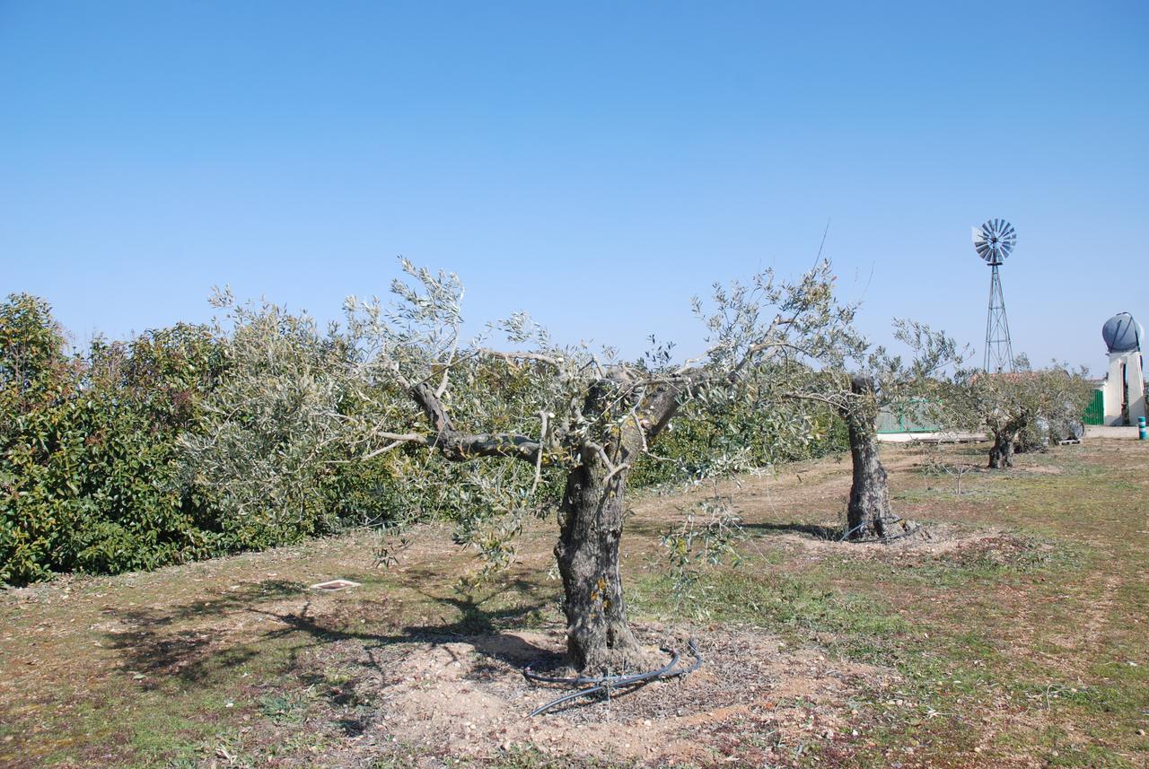 Casa Rural Teso De La Encina Villamor de los Escuderos ภายนอก รูปภาพ