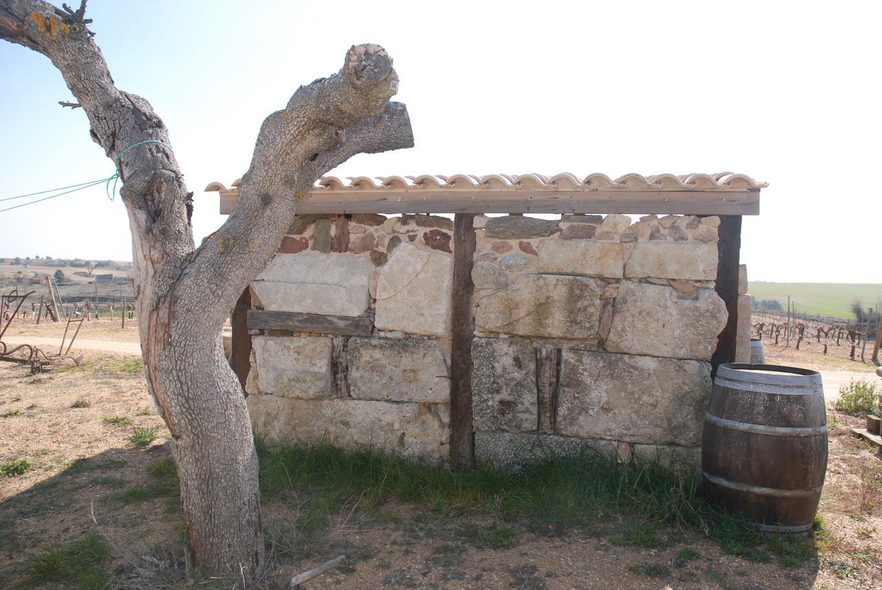 Casa Rural Teso De La Encina Villamor de los Escuderos ภายนอก รูปภาพ